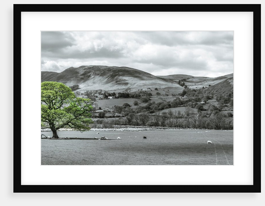 Beautiful countryside by Assaf Frank